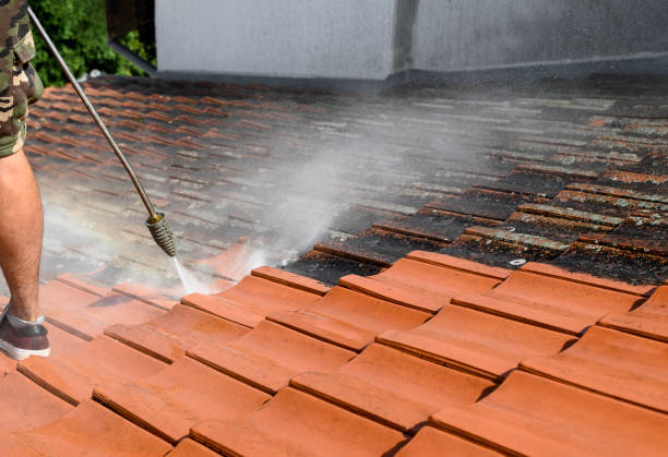 Best Local Pressure Washing Services  in Sturtevant, WI